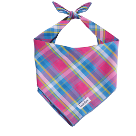 Rainbow Plaid Cotton Dog Bandana (Size-Pack Of: Large-1, Color: Colorful Plaid)