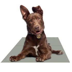 Chillz Non-Toxic Pet Cooling Gel Mat (Size-Pack Of: Medium-1, Color: Sage Gray)